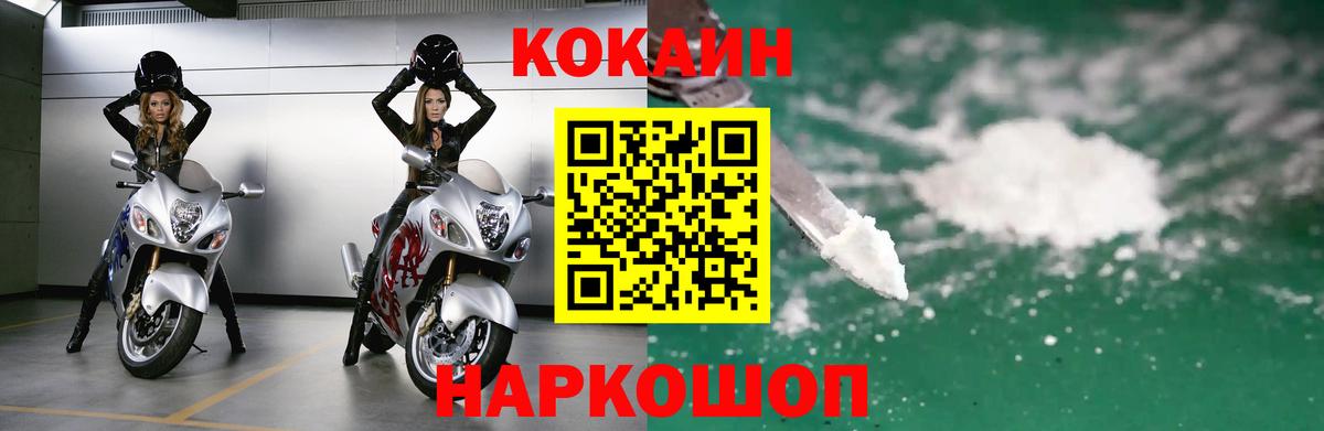 Cocaine Fish Scale  Cocaine Fish Scale  Чернушка  Вход с VPN 