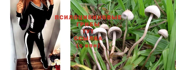 шишки Тихорецк