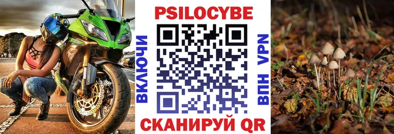 закладки  Чернушка  Галлюциногенные грибы GOLDEN TEACHER 