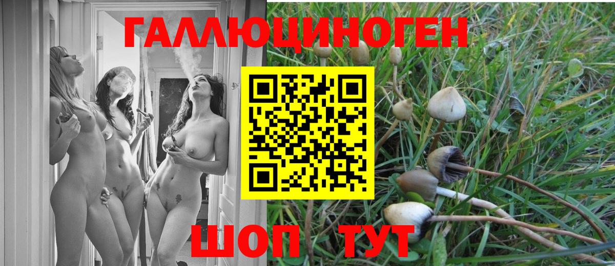 Галлюциногенные грибы MAGIC MUSHROOMS Чернушка