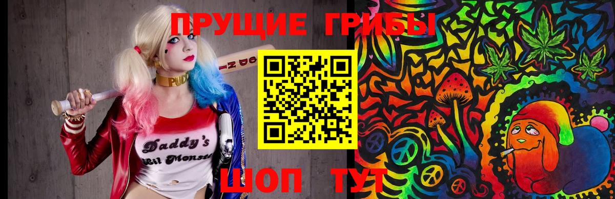 Чернушка  Галлюциногенные грибы Psilocybine cubensis  Вход с VPN 